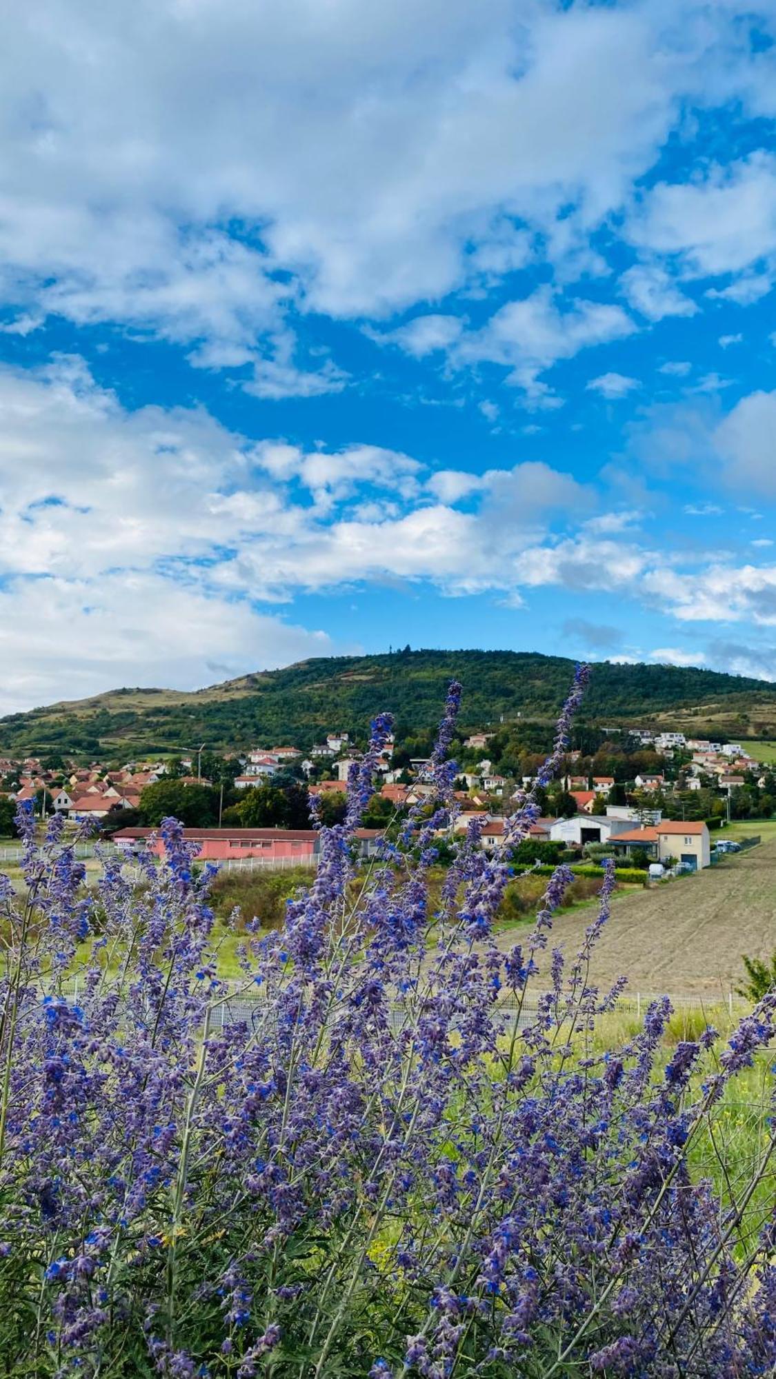 Best Western Plus Hotel Gergovie Perignat-les-Sarlieve Εξωτερικό φωτογραφία
